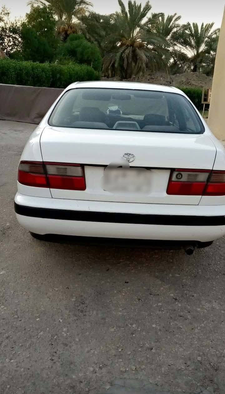كرونه • ١٩٩٥ • نجف