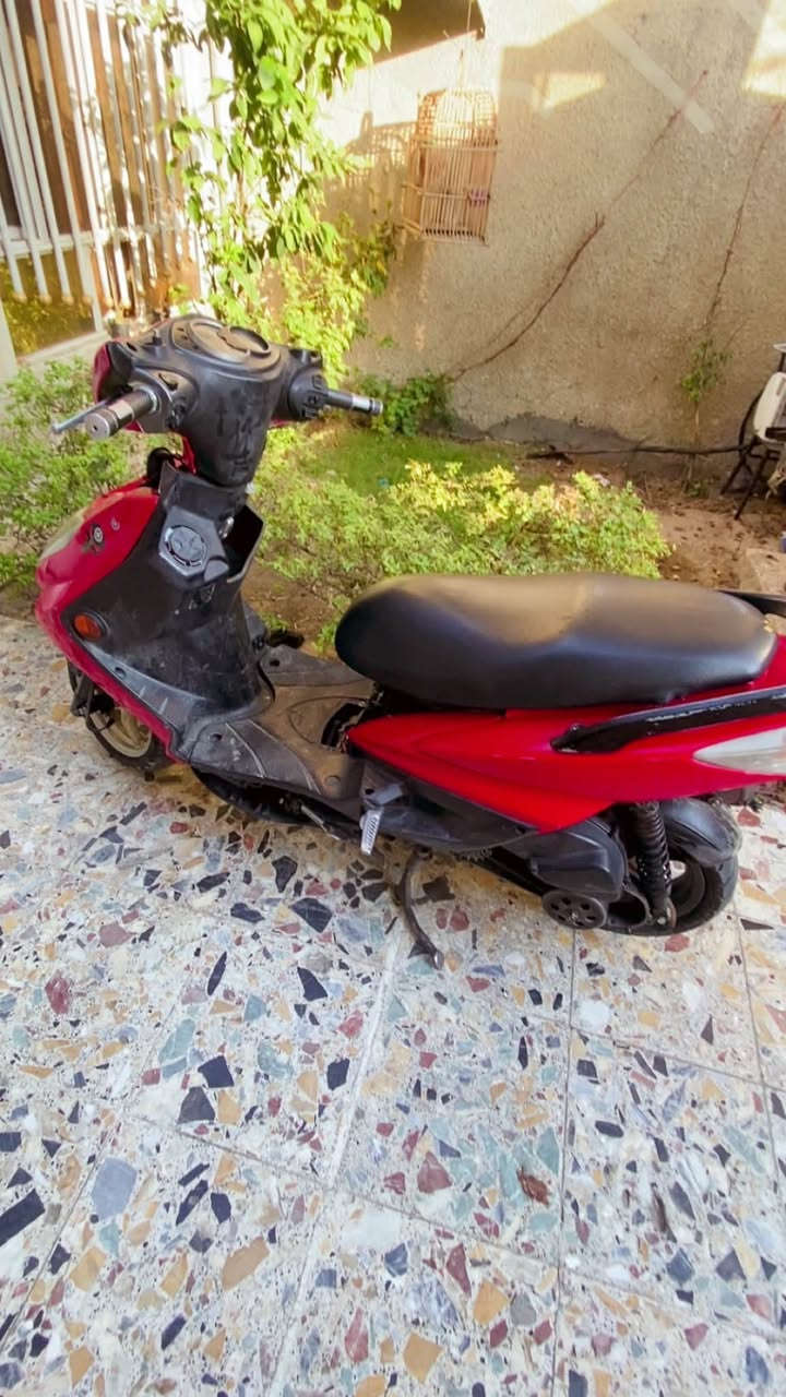 سلام عليكم سكنس فحل للبيع نوزل دراجه بوشه ٥٨ مزوده سلف رياضي كلج رياضي دراجه نضيفه طلعاعات لدراجه نضيفه سعره ٤٥٠ وبيه مجال بكانه بلديات بغداد ***********
