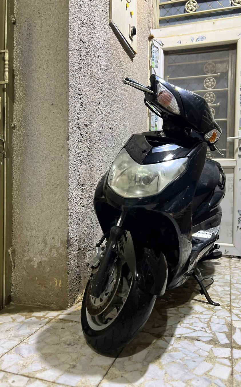 سكنس فحل • كولد • موديل ١٢