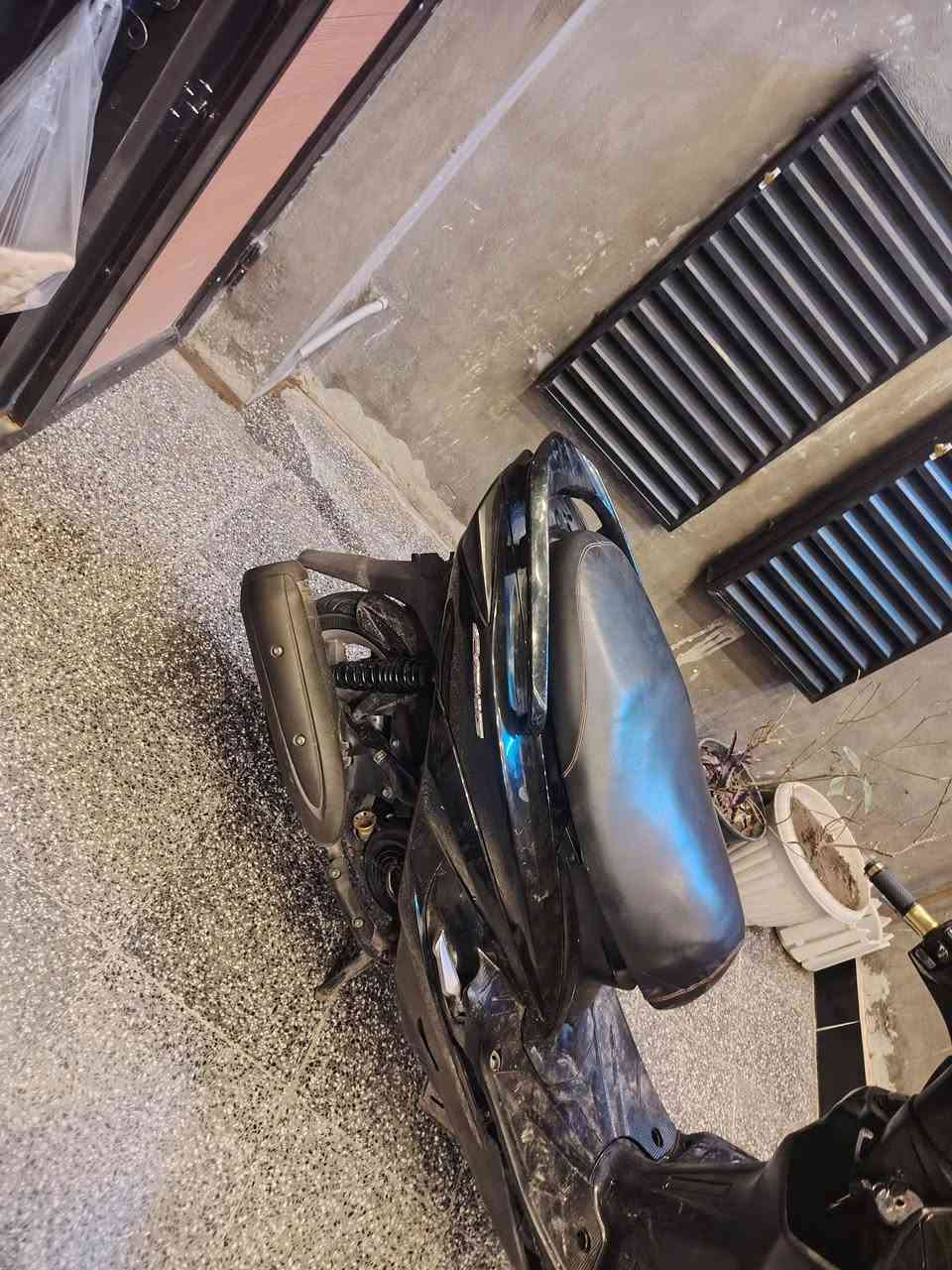 سكنس فحل • ياباني • نضيفه