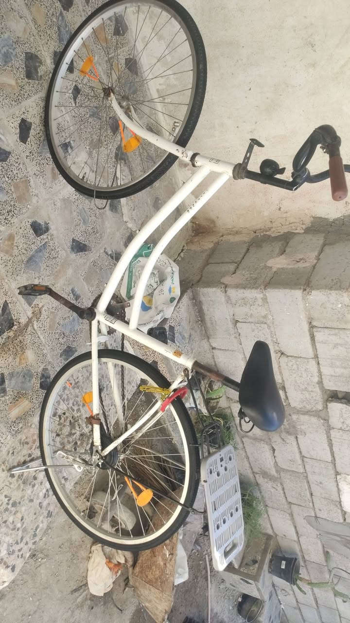 سلام عليكم شباب باسكلا نضيف ما مصبوغ  سعر 75 وبي مجال حتلو مراوس عادي  مكان نجف لاشرف هذه رقم الهاتف  *********** وبي واتساب وليجي خاص اني خادم اله
