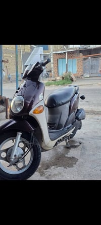 فلة • جديدة • مكفولة