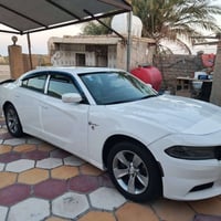باسمي بغداد • ٢٠٢٠ • كشنات جلد