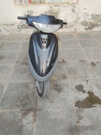 منغولي • فحل • نقص باتري