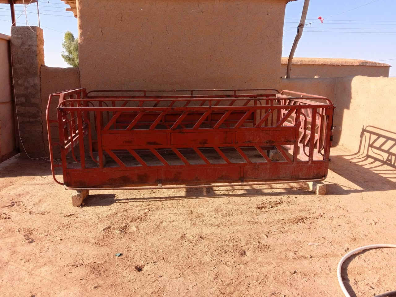 محجل لبيع*********** مكان تل عبطة

