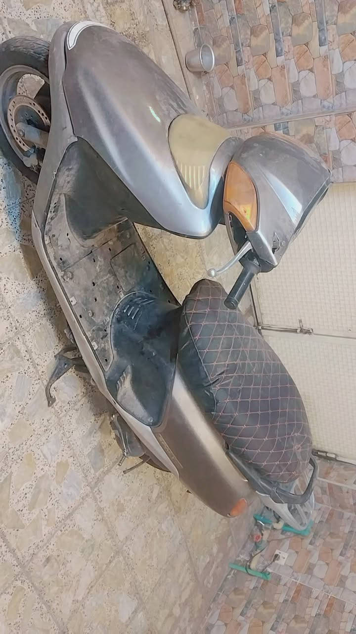 سبيسي • ياباني • محروقة