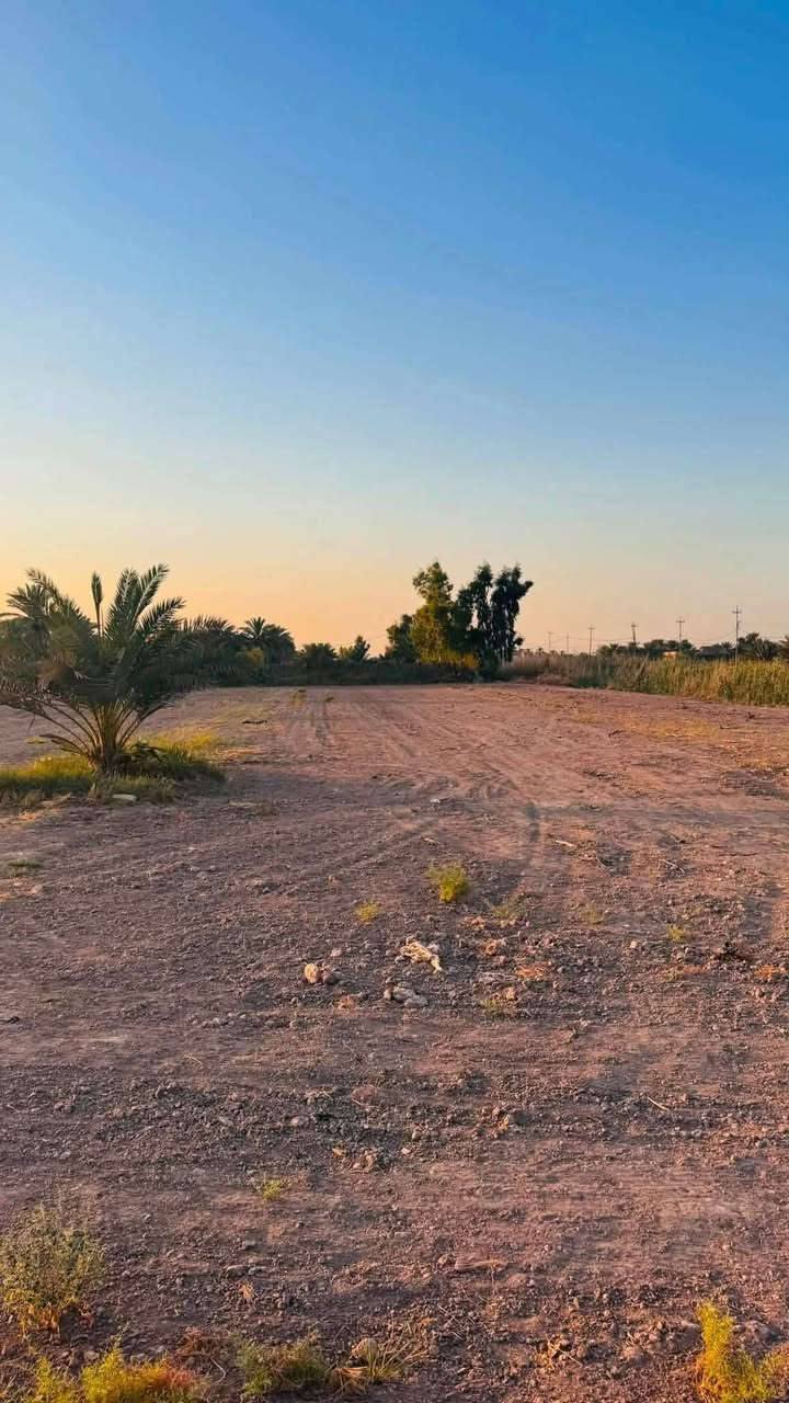 للبيع
دونم 
سند ٢٥ شرط لمداور 
تقع ع شارع هوئ الشام مباشر
كل لخدمات متوفره 
مي سقي 
مي اساله 
كهرباء 
انارت شارع 
تبليط 
مركز صحي 
صيدليه 
مدارس ابتدائي و متوصطه
العنوان بابل 
منطقة هوئ الشام 
للستفسار اتصل ع رقم ***********
اعتذر ع رد اني مكلف بل نشر تحياتي

