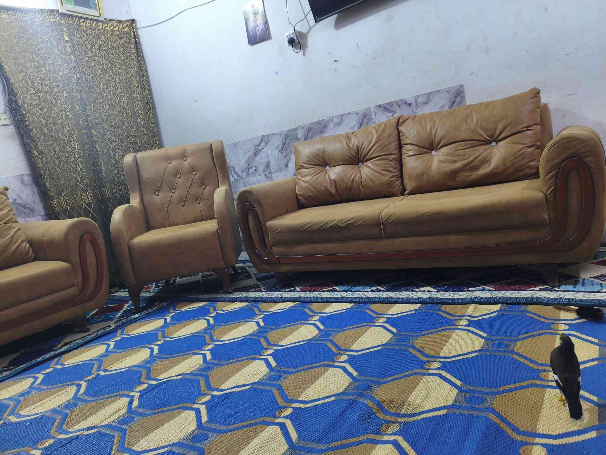 تخم  10 مقاعد تزكام درجى اولى نضافه 100/100 استخدام قليل كلش  خشب بلوك اسود قماش وتر برو سعره 325 وبي مجال مكاني كربلاء حي العامل يوجد توصيل بكروه *********** يوجد واتساب
