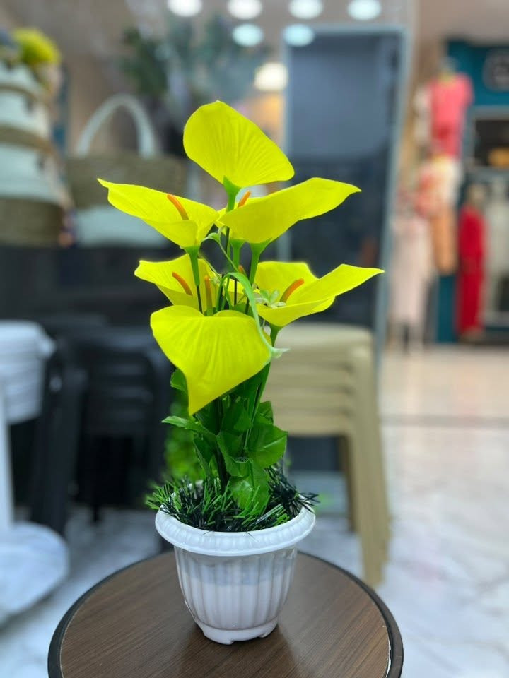 🌸🌿 تشكيلة ورود صناعية ولا أروع 🌿🌸
أشكال وألوان راقية تضيف لمسة جمال وحيوية للبيت ✨🏡
مناسبة للصالونات، غرف الضيوف والمداخل 🌷💐
اختاري اللي يناسب ذوقج وخلي بيتج أجمل 🌸😍

📍 العنوان: بعقوبة – التحرير – مجمع القمة داخل القيصرية – مقابيل المصعد
📞 ***********
📞 ***********
