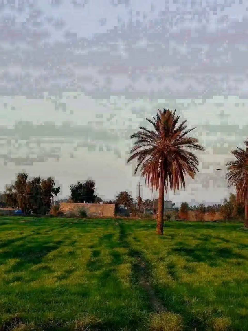 ٢٢دونم • التاجي ذراع دجلة • سند مستقل