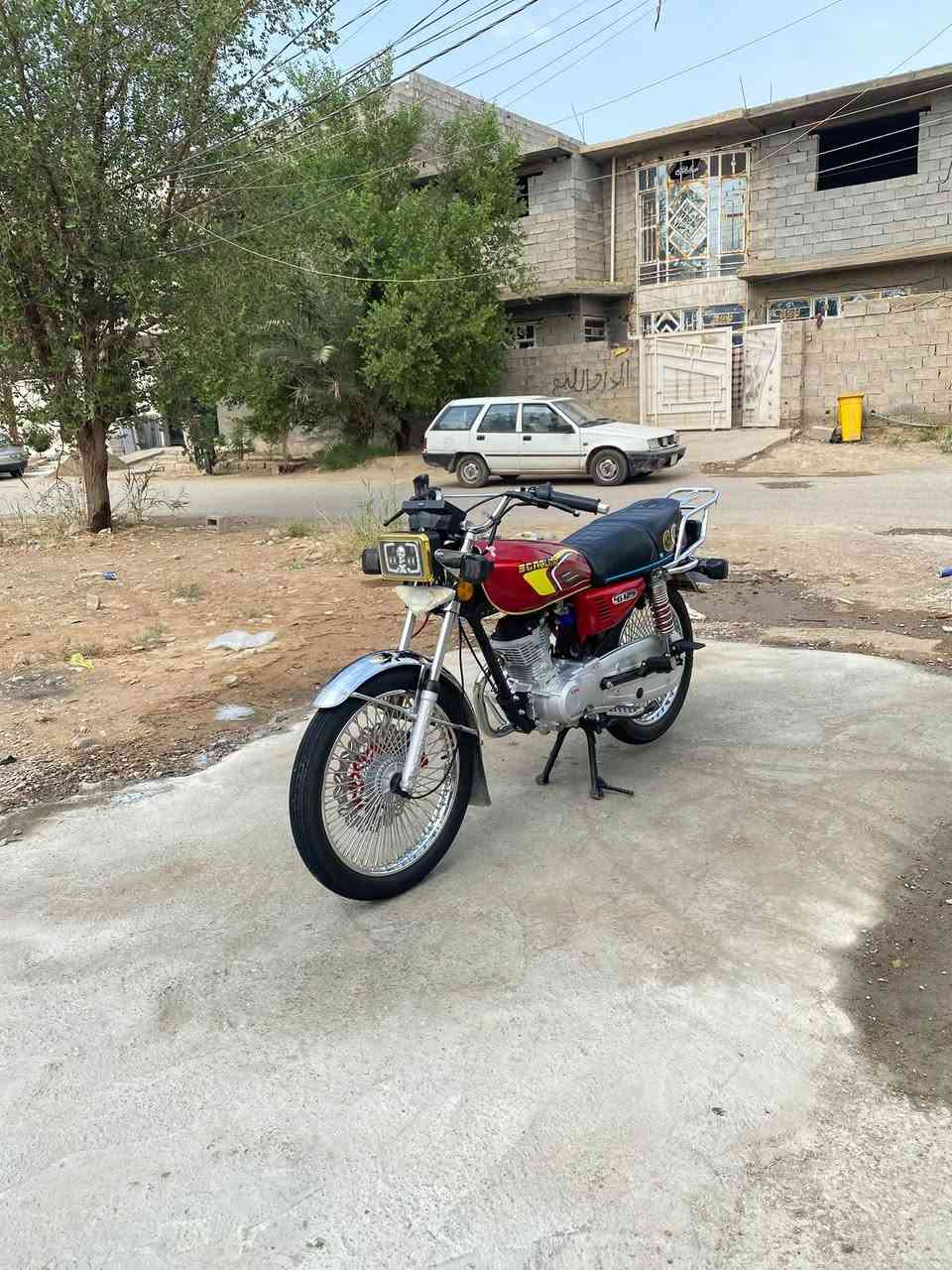 تايگر • ٢٠٢٥ • ممشاه قليل