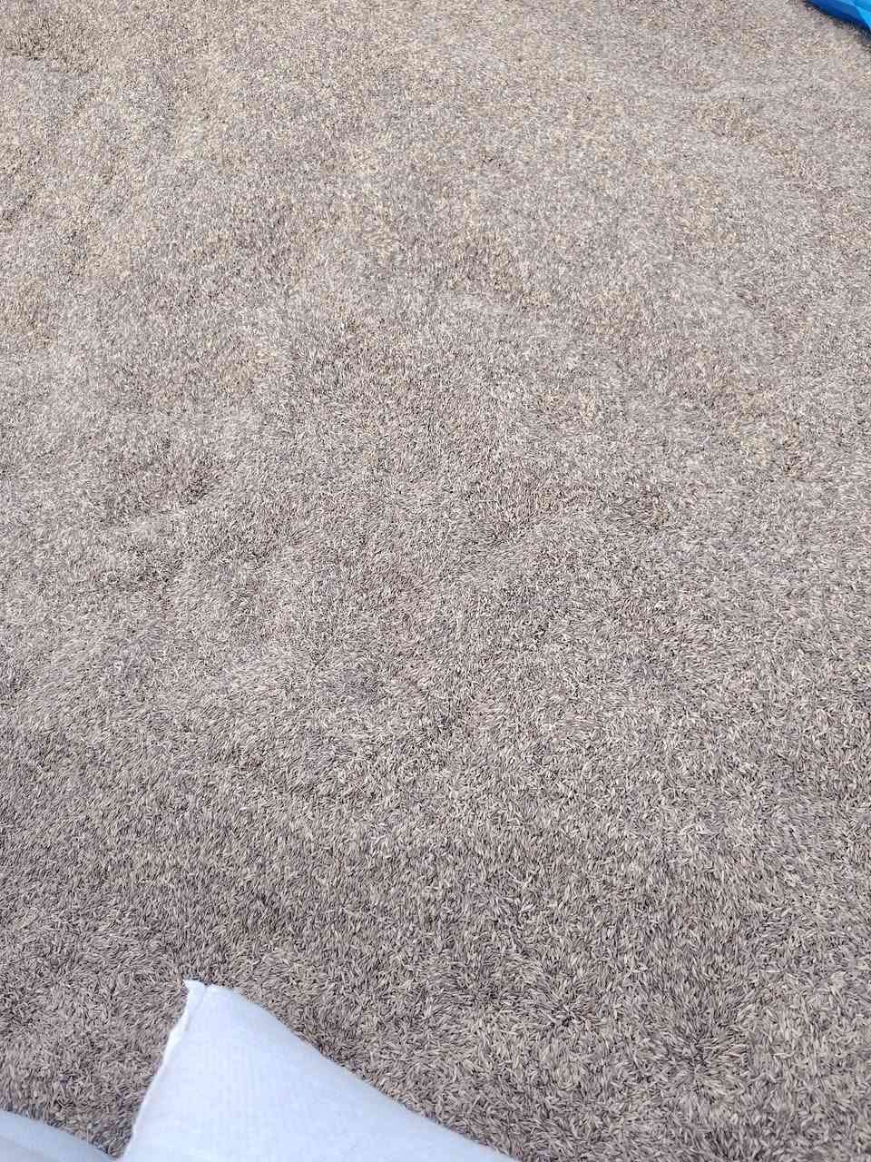 شعير • ٨ طن • تكريت