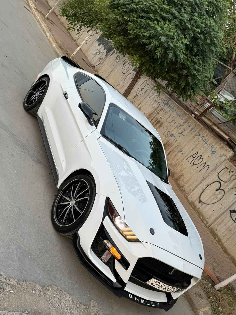 Mustang 2017 eco bust sayaka 125 m roshtwa be aiba zor paka gerw maikna bashara bo zanyariy tell bka ***********
