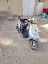 بطة • ٢٠٠٣ • رايدها