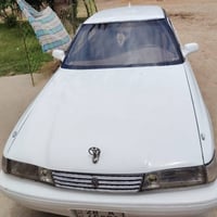 مارك عظم • ١٩٩١ • نجف سنويه