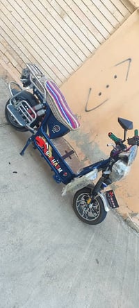 جيوشه • ٢٠٢٦ • نظيف