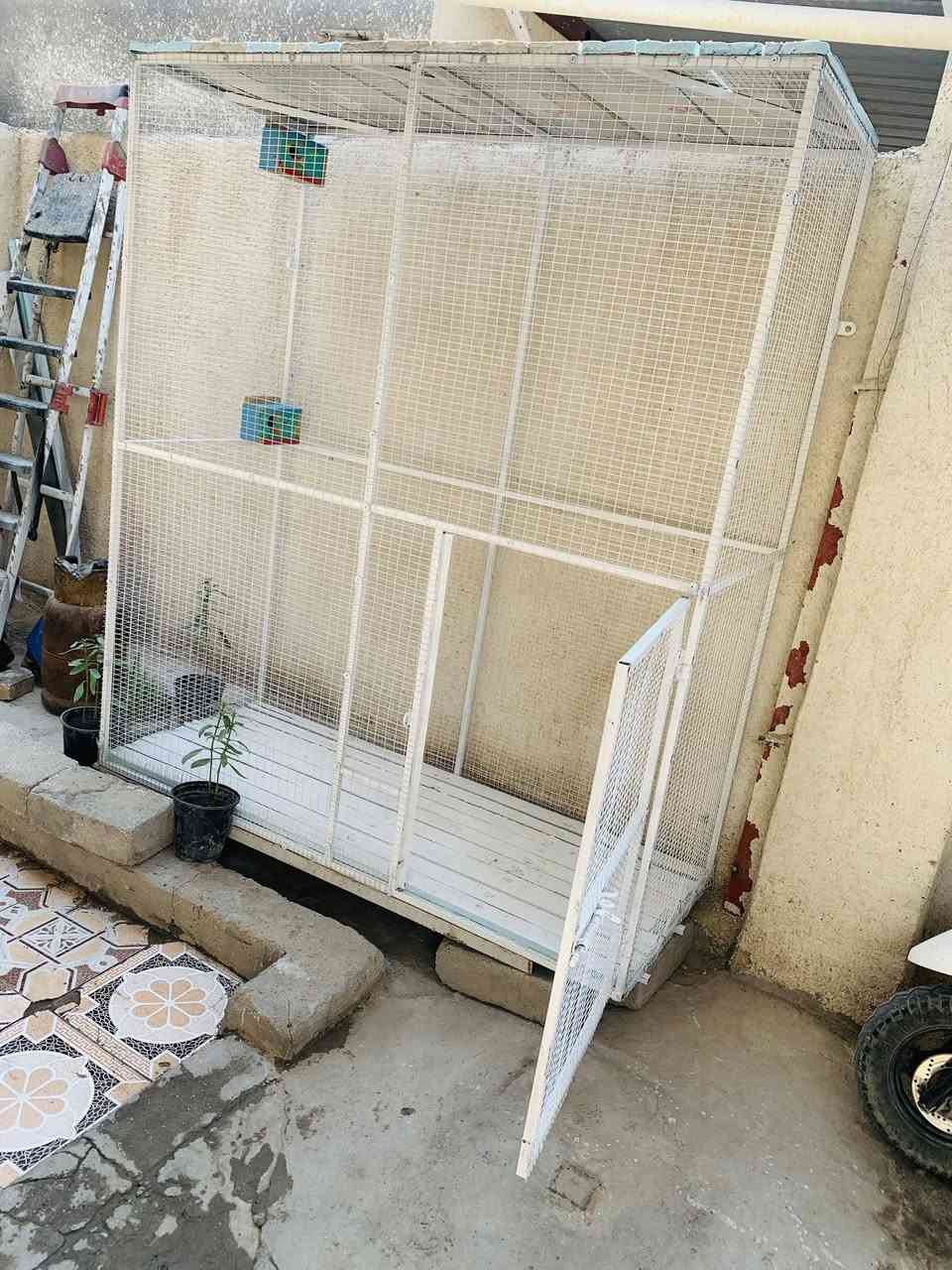 قفص حديد للبيع 🐦
📏 الارتفاع: مترين

📐 العرض: متر و80 سم

📏 النزال: 75 سم

🔩 شبك BRC، فتحة 1.5 × 3

🔧 شخاط سمك 1 ملم

✅ تكدر تخلي على الارضيه، وتكدر تعلّكه على الحايط.

🎨 مصبوغ لون أبيض، حتى ما يزنجّر ابد تاخذه عمر.

✨ جديد مامربي بي ولا شي ابد الله شاهد يرهم للطيور الصغار والكبار او حيوانات اخرى

شغل درجة أولى.

سعره 185 الف وبي مجال قليل حك الكروه 

📍 المكان: البصرة – الهوير

📱 واتساب: ***********
