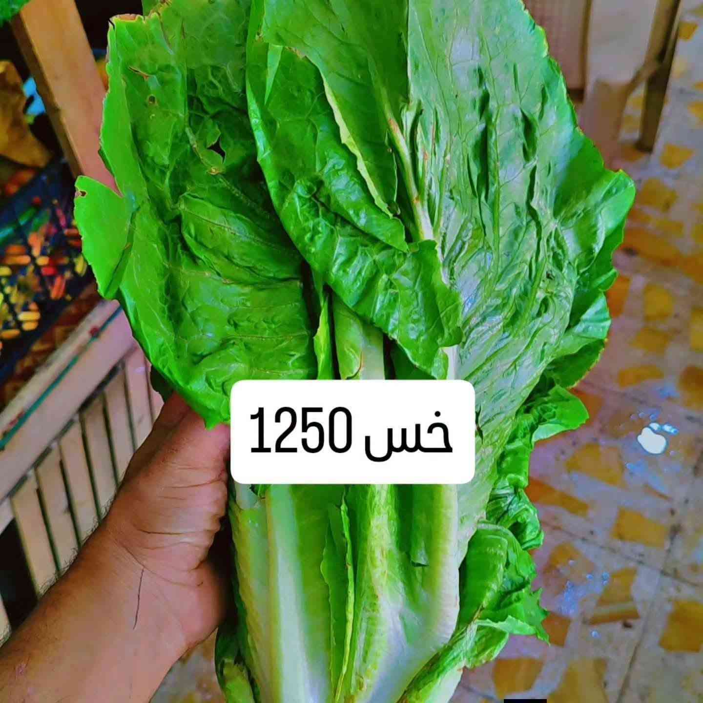 فواكه وخضار • رمان سوري • خس