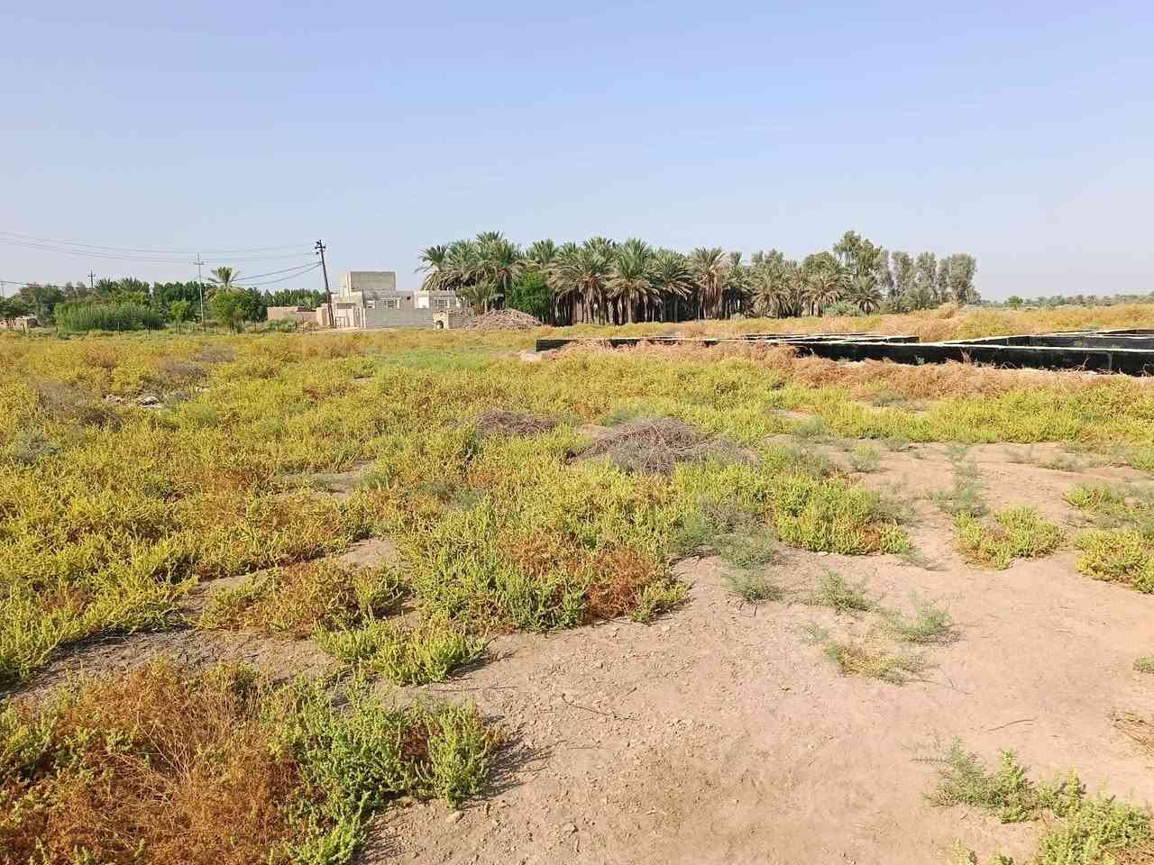 قطعه بجميله خلف الشقق  مساحه 300 /رقمه 6730 
سعر 22وبي مجال ***********

