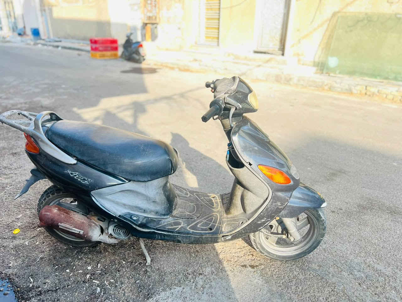 دولفين • نضيفه • صوته ناعم
