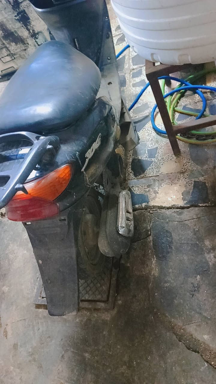 عصفوريه • شغاله • تايرات زينه