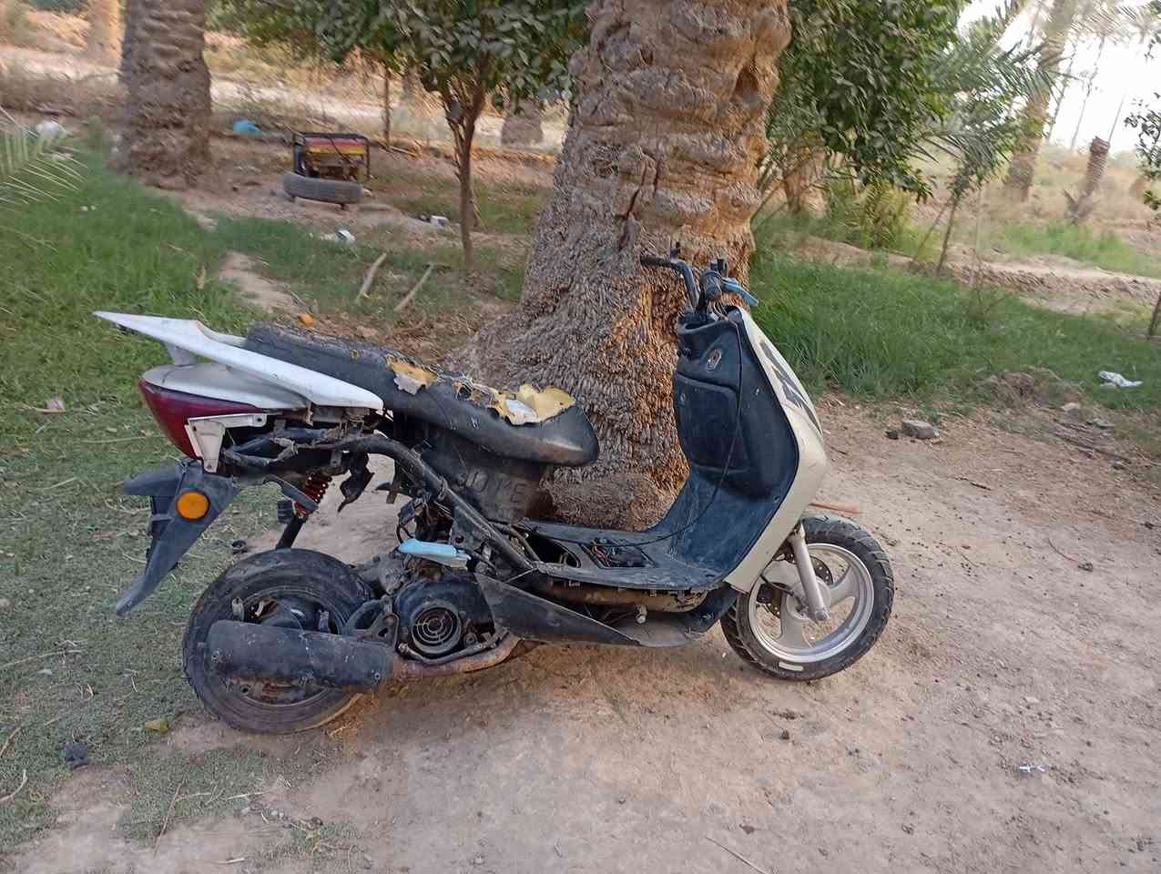 فراشة • نضيف • شغالة