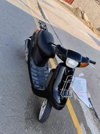 بطة • ٩٩ • مكفولة