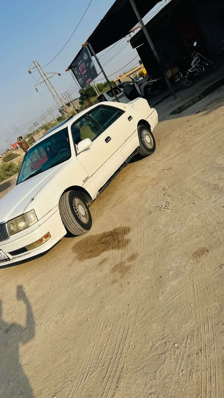 راس الثور • ١٩٩٩ • مندون صبغ
