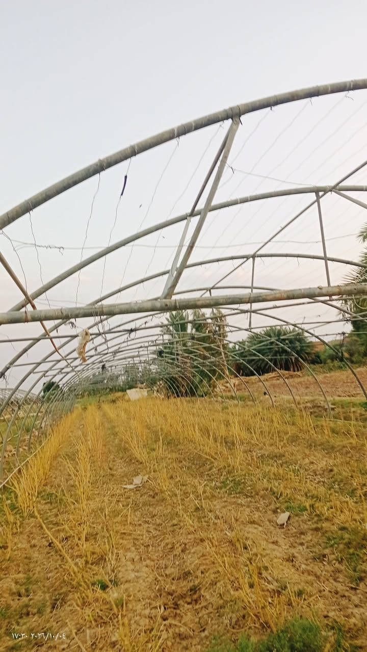 سلام عليكم بيت زجاجي للبيع ***********

نص مكتوب في الصور:
- ١٧:٢٩ ٢٠٢٦/١٠/٠٤
- ١٧:٣٠ ٢٠٢٦/١٠/٠٤