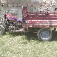 ستوته • دايون • شغال