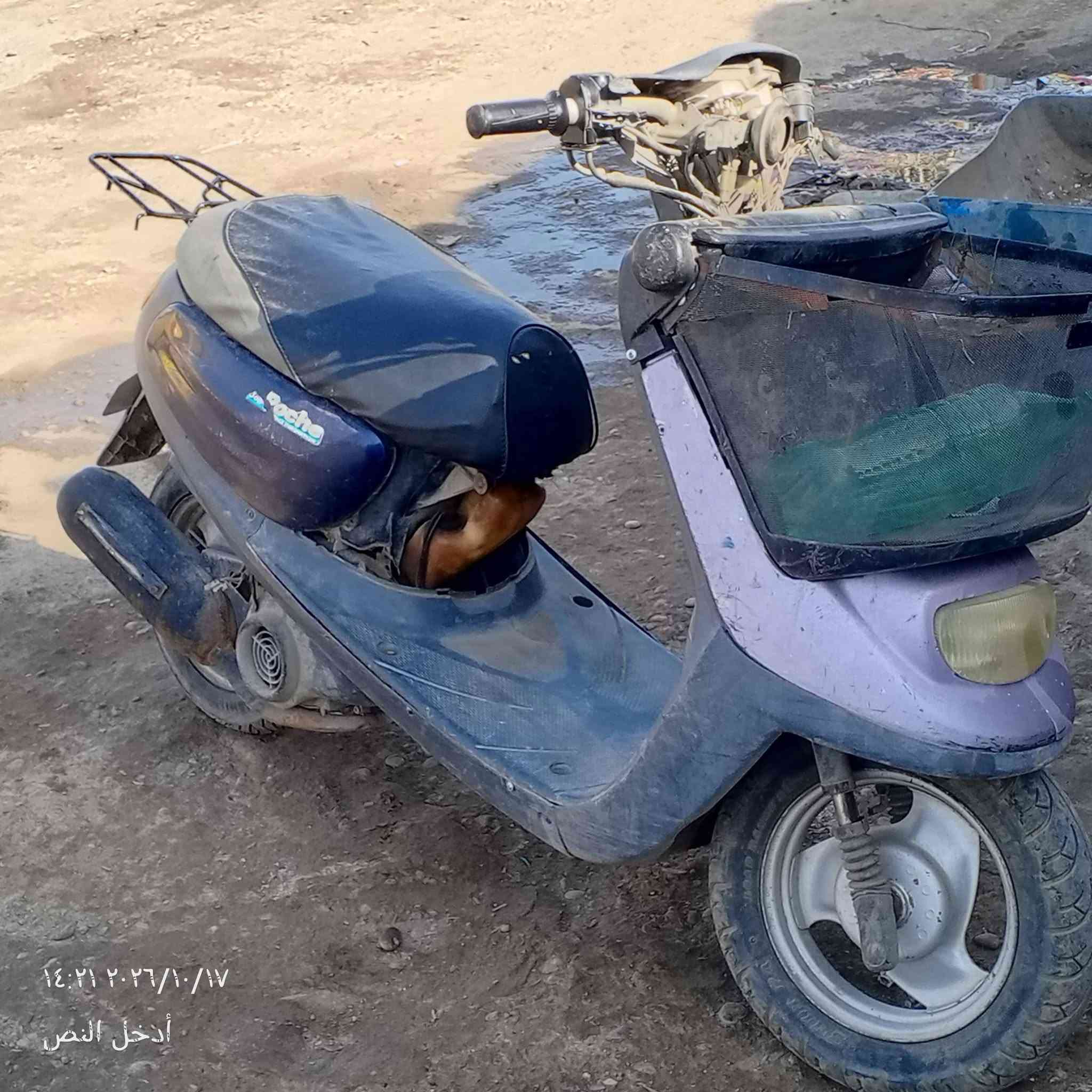 نفخ • محرك نضيف • اكسن ناعم