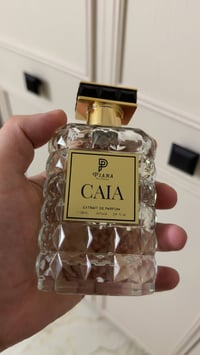 عطور • كايا • ماكوين