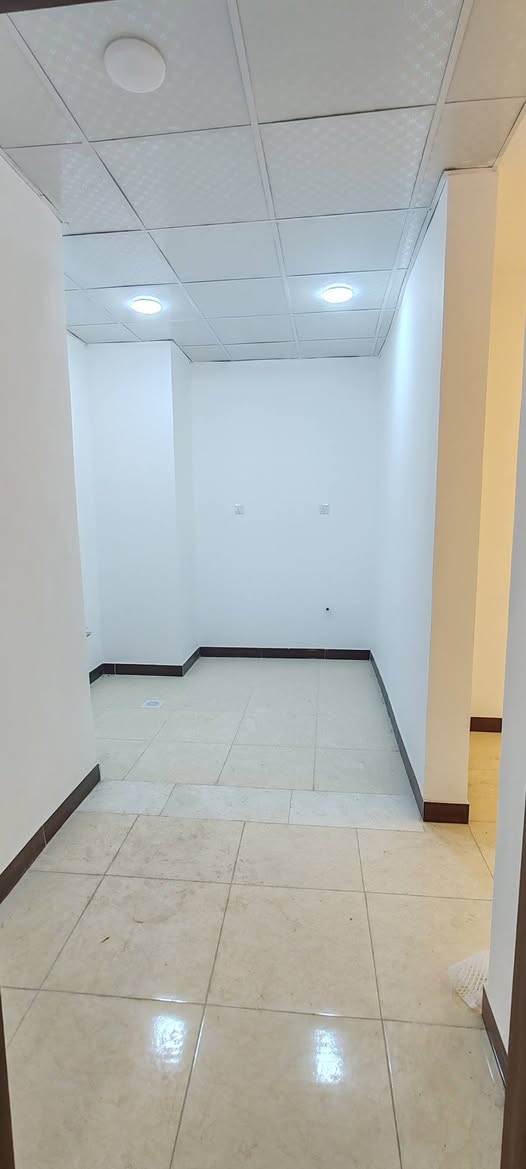 سعفة البصرة • ١٢٠م • غرفتين