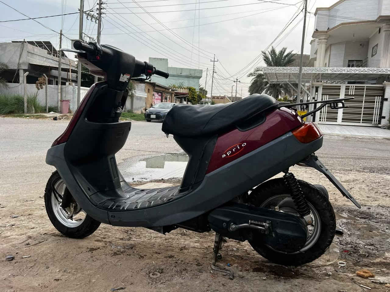 بطة • حاوية • ٦٠