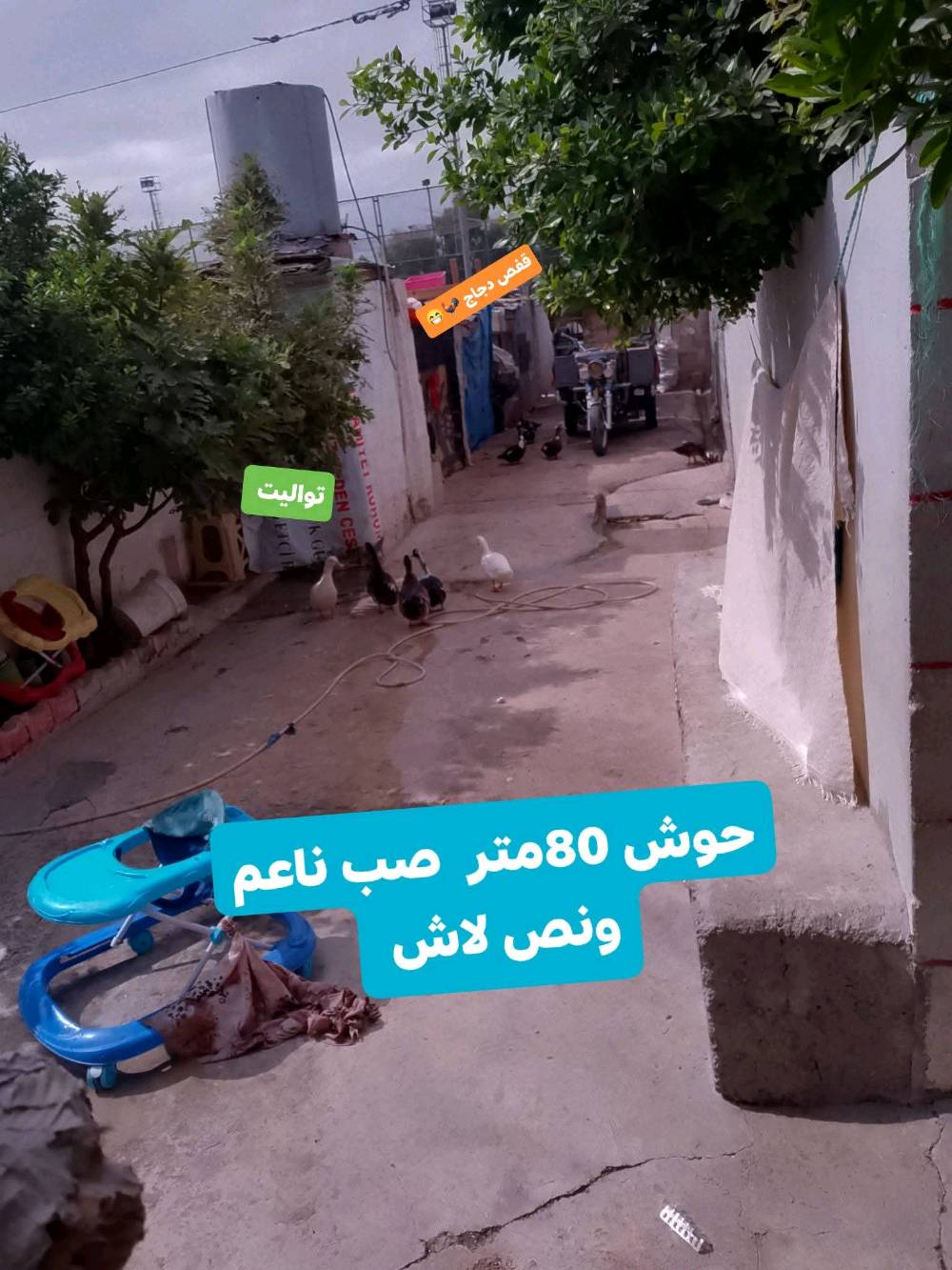 دار للبيع • عروبه جامع التوحيد • ٢٦٠م