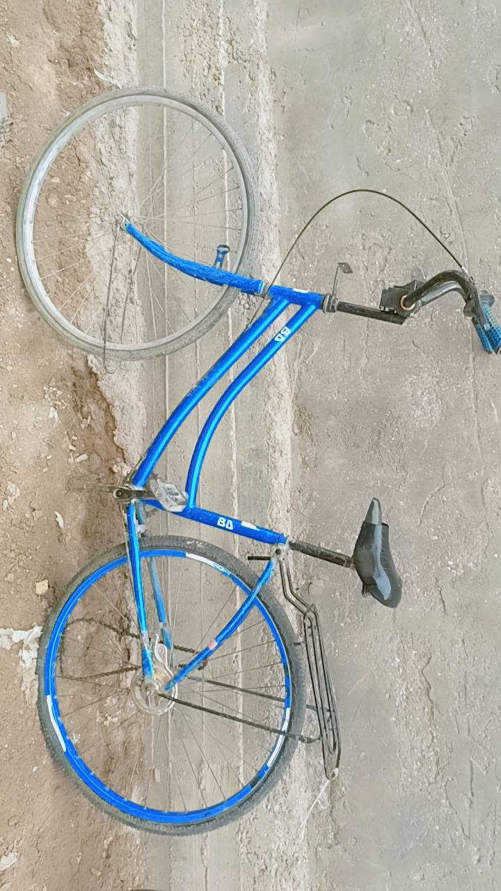 باسكلات • الابيض • ناقصة الزرك