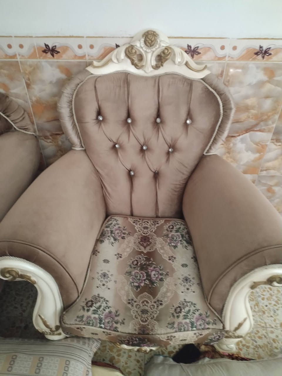 تخم راسي  اخو الجديد السعر مناسب  ***********
