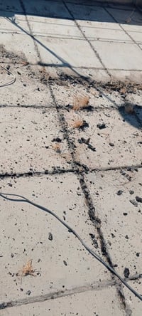 اعمل بعادت ماستك الصطح وترميم المنازل تصليح صبغ تنكير تفليش 0781992257...