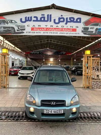 توسان • ٢٠٠٨ • بدون صبغ