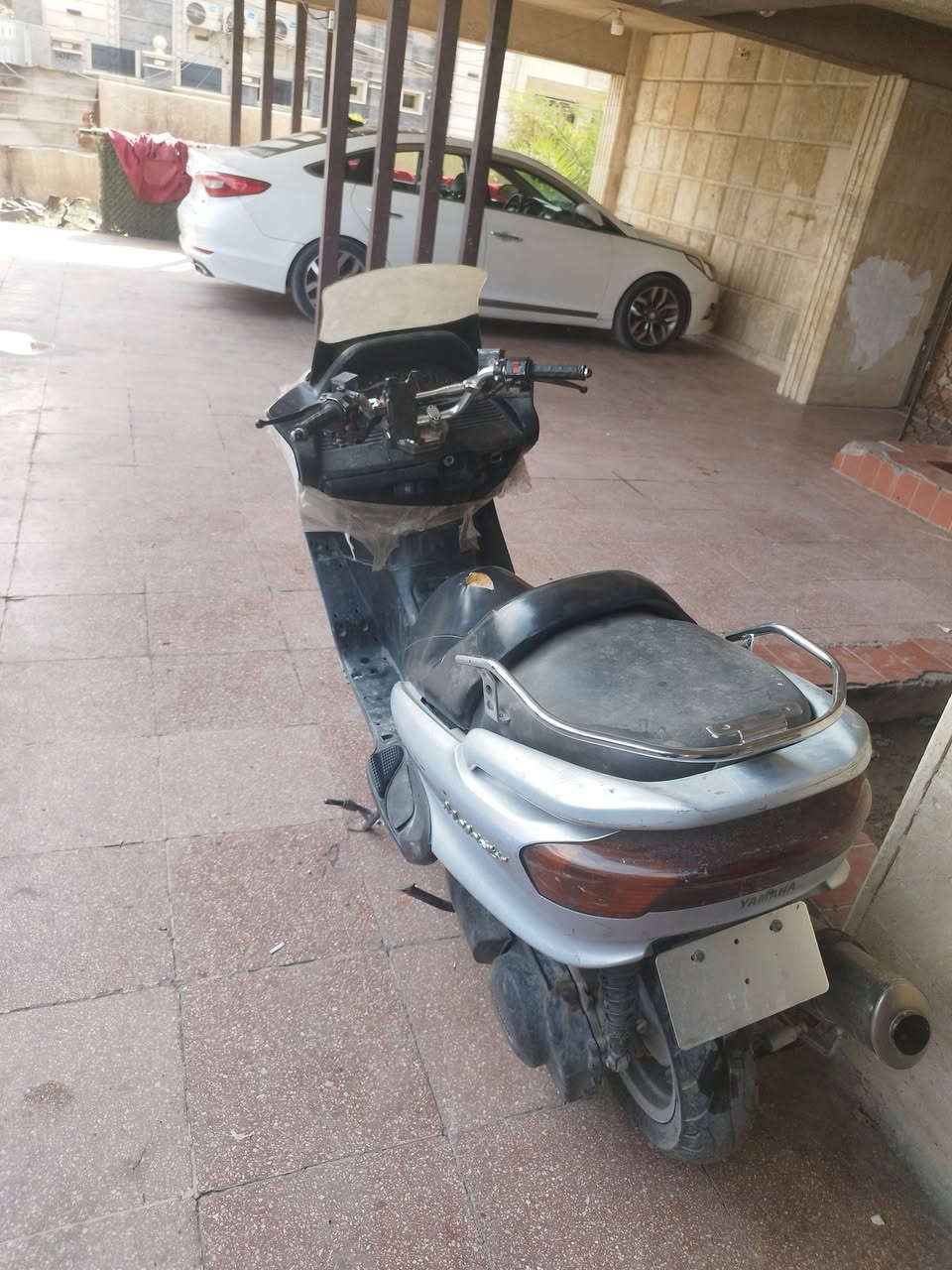 ماجستا • سلف جديد • دايمنو جديد