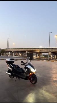 فورزه • صفر • كفالة