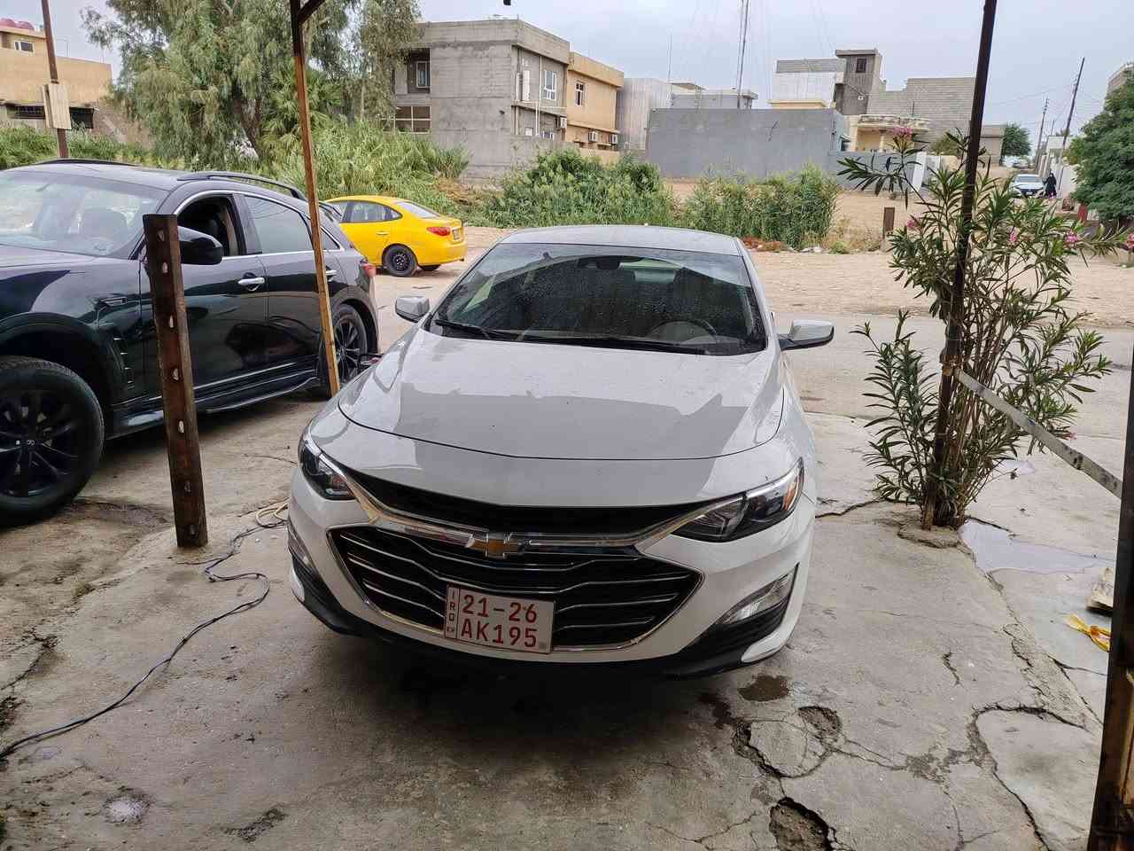 امريكي • ٢٠٢٤ • بدون حادث