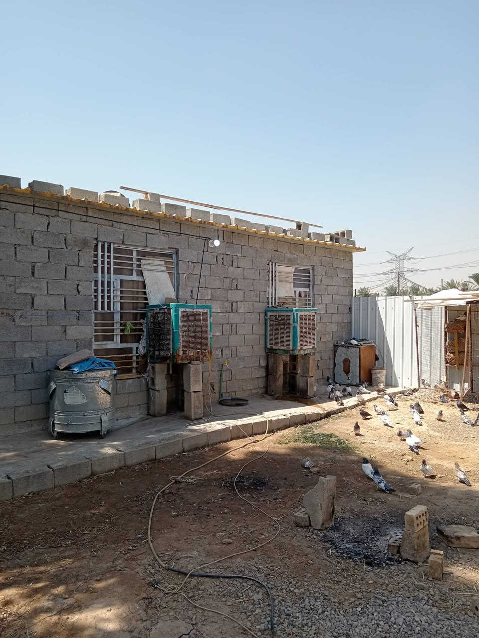السلام عليكم عندي بيت للبيع خلف دور الزراعه باربعه دونم مساحة البيت ٣٠٠ متر يحتوي على غرف٢  ومطبخ وحمام واستقبال طابوا زراعي الاتصال علئ الرقم *********** سعر ٣٧ وبي مجال  شاخات
