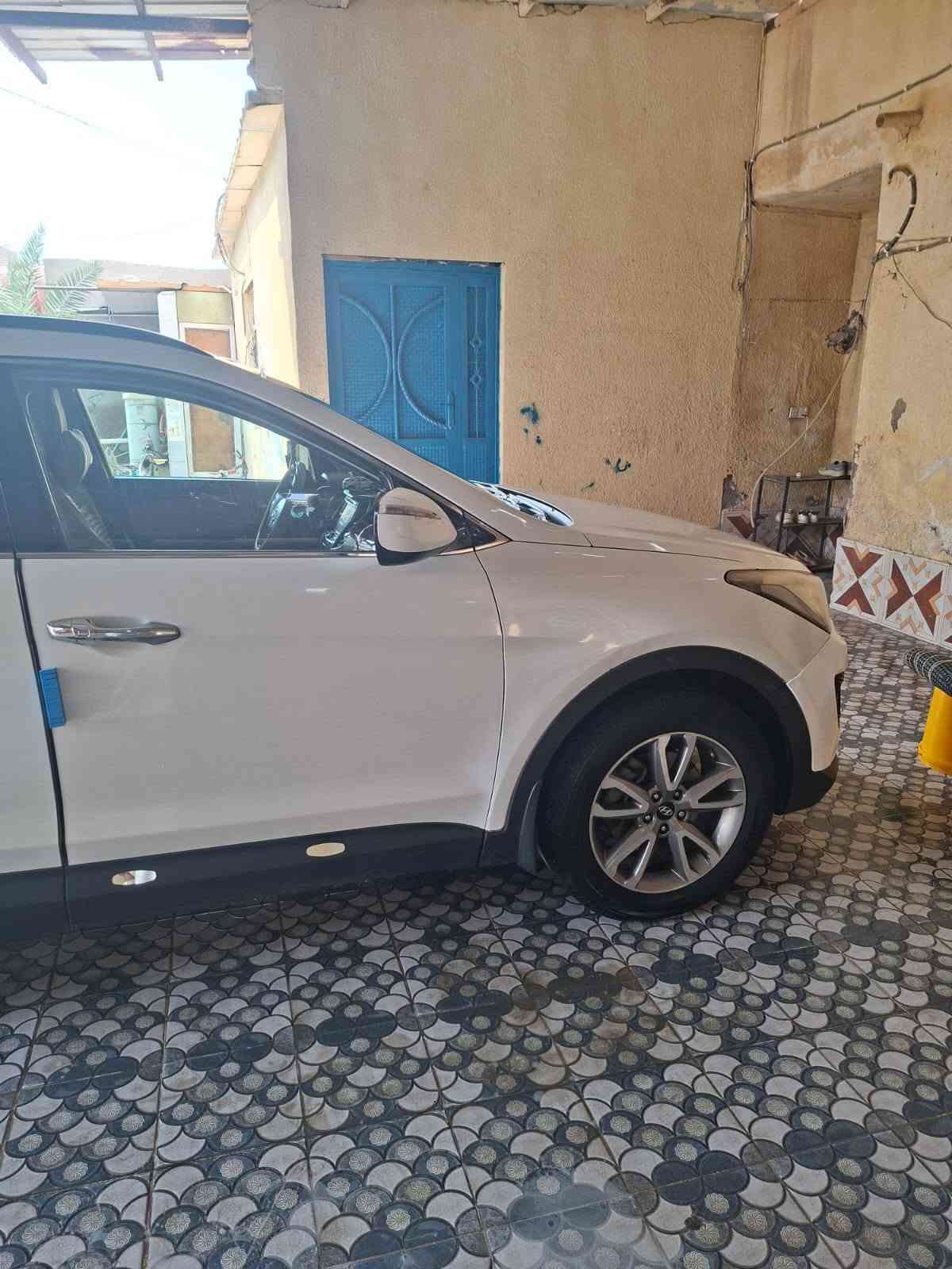 سنتافيا • ٢٠١٣ • مراوس فلونزا