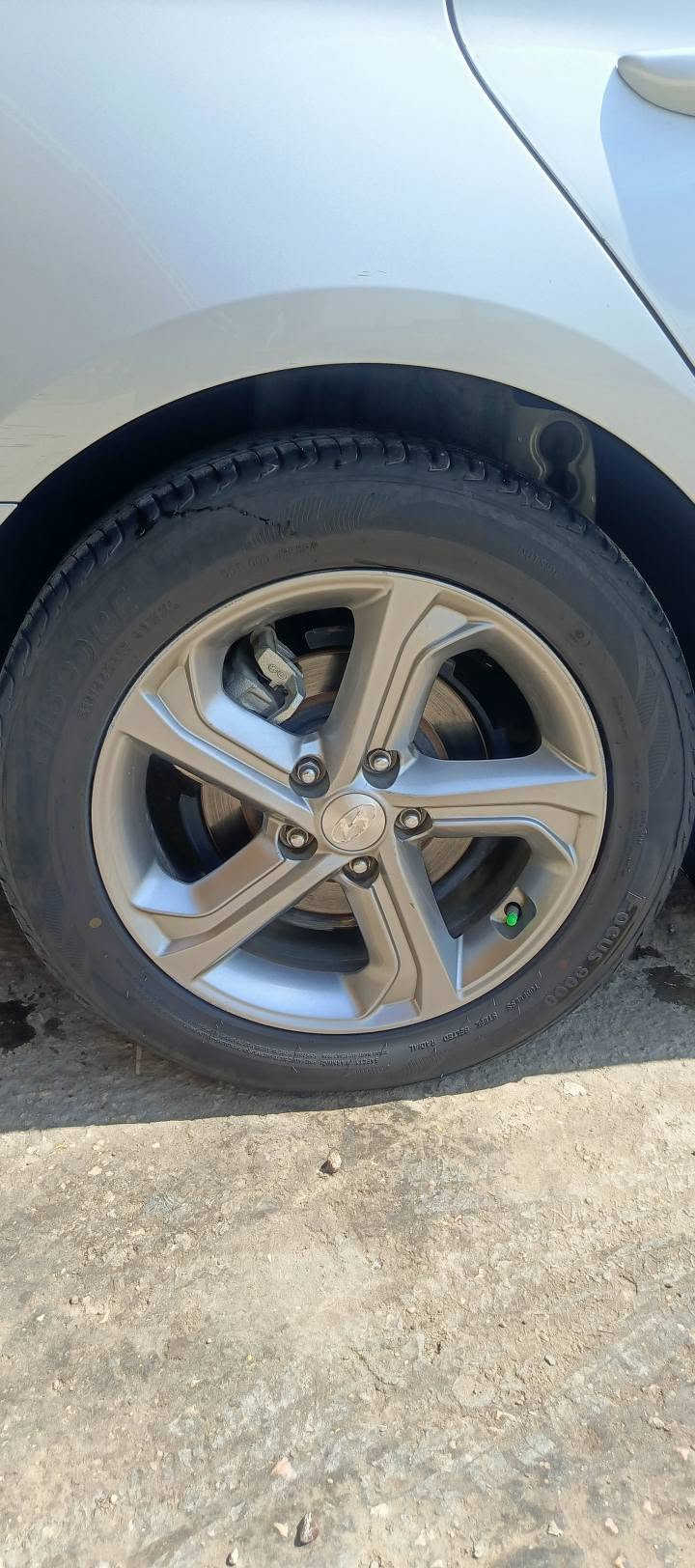 ٢٠٢٢ • كفالة عامه • غاز اصل