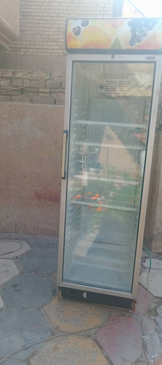ثلاجة عمودية • مجمدة بطحية • ايكور
