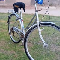 باسكل • جاهز • سلايتات بريك