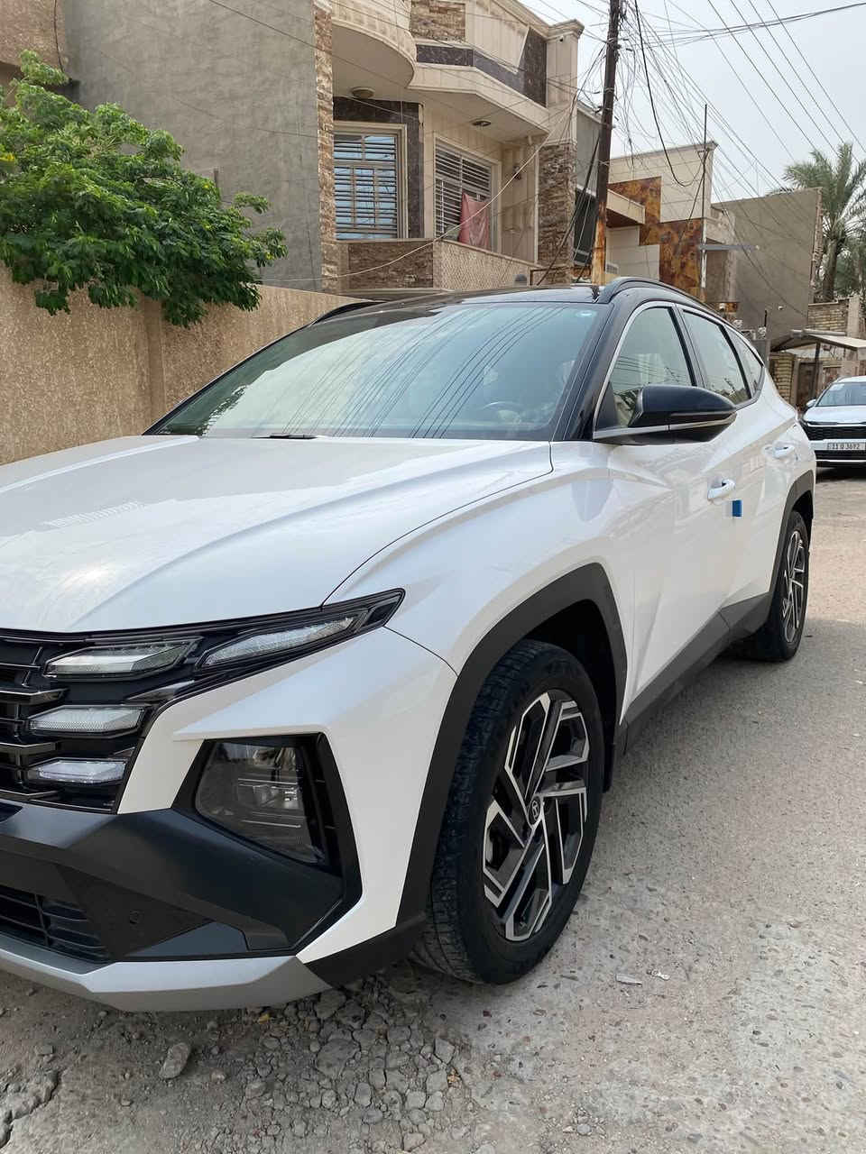 توسان • ٢٠٢٥ • رقم اربيل
