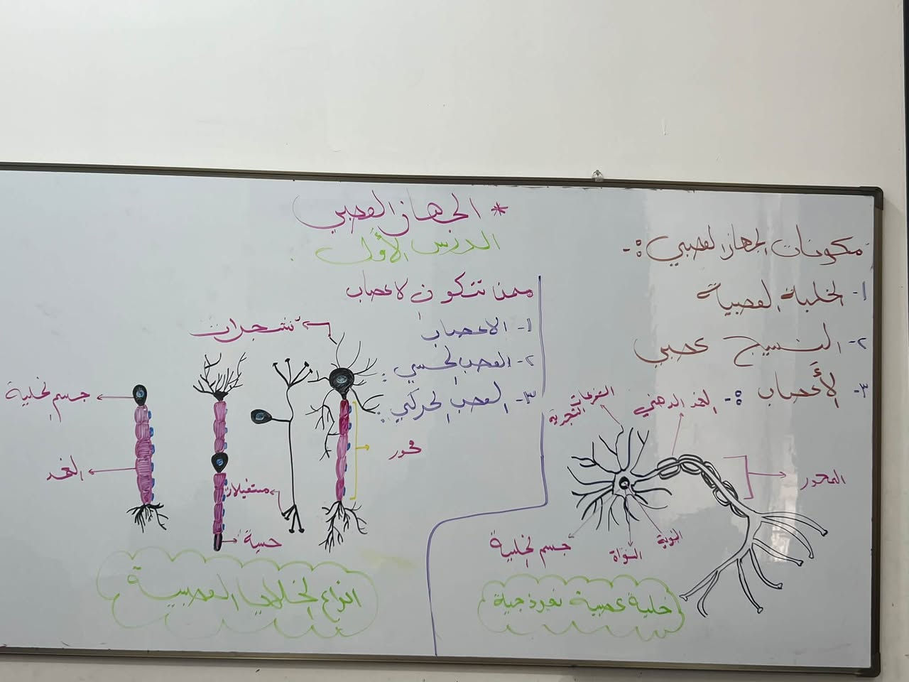 احياء+كيمياء الصف الثالث متوسط 
#طويريج حي الكردي الزراعي
***********
