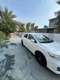 كورلا • ٢٠١٣ • رقم اربيل